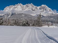 Schwendterloipe cross country trail