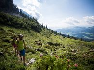 A hike across the Alpine pastures