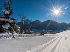 Cross-country skiing and hiking route Sonnbichl/Dorfbichl