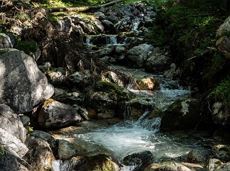 Hike to Wochenbrunner Alm