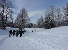 Wolfsegg Winterrunde