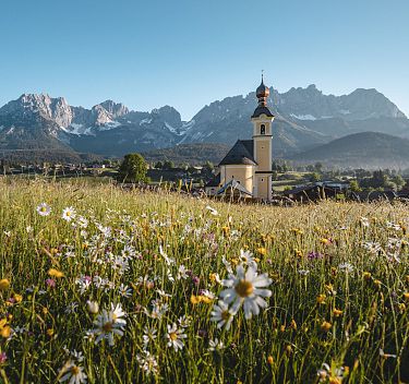 im Frühling