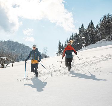 Schneeschuh- und Winterwandern