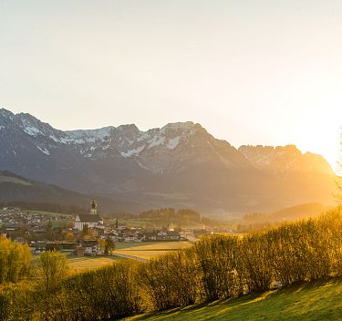 im Frühling