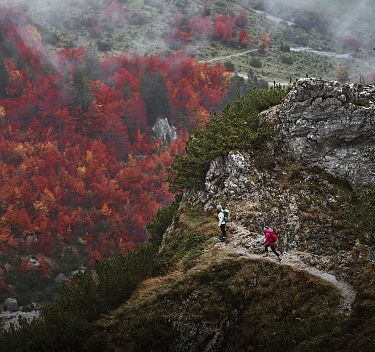 Wandern