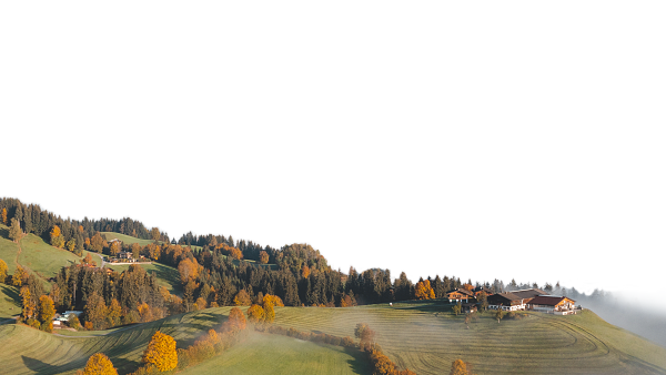 Sanfte Hügel mit herbstlichen Bäumen und vereinzelten Häusern in einer idyllischen Landschaft unter klarem Himmel. Nebelschwaden ziehen durch die Täler.