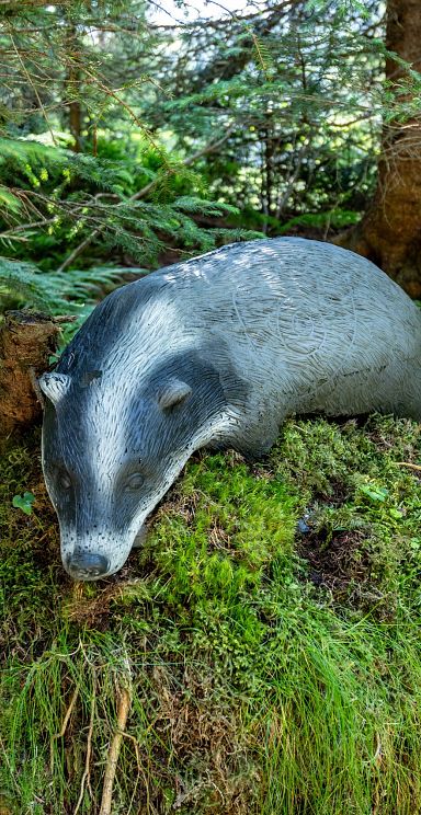Ein künstlicher Dachs ruht auf einem moosbedeckten Baumstumpf im Wald, umgeben von Farnen und Nadelbäumen. Die Szenerie wirkt ruhig und naturverbunden.