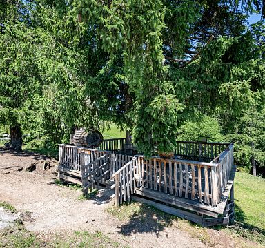 Holzterrasse mit Geländer steht unter einem großen Tannenbaum auf einer Wiese. Im Hintergrund sind grüne Bäume und ein strahlend blauer Himmel zu sehen.