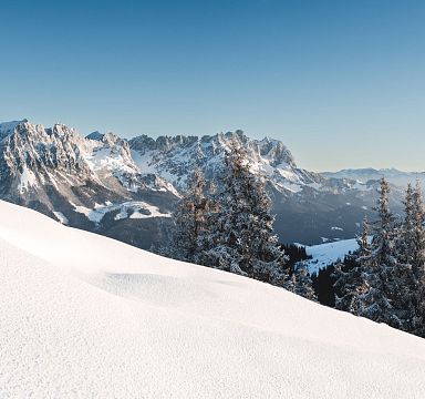 Snow-covered Wilder Kaiser mountains and pine trees under a clear blue sky in the Tyrolean Alps.