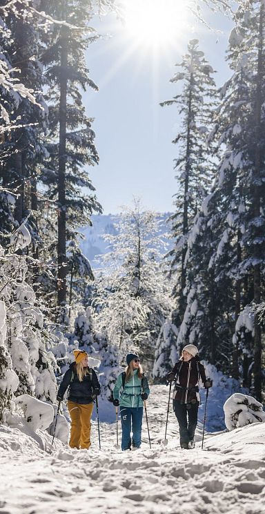 Three people walking on a snowy forest path in the Wilder Kaiser region, surrounded by tall, snow-covered trees and bright sunlight filtering through.