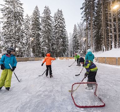 Eine Gruppe von Personen spielt Eishockey auf einer verschneiten Outdoor-Eisbahn, umgeben von hohen, schneebedeckten Bäumen.