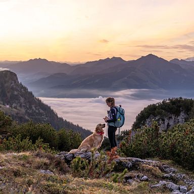 A hiker with a dog on a rocky path in Wilder Kaiser at sunrise, overlooking a foggy valley and distant peaks. The sky is painted in warm colors, illuminating the scene.