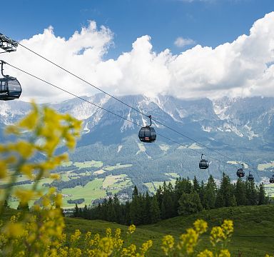 Cable cars traverse the scene with the dramatic Wilder Kaiser mountains in the background. Lush greenery and yellow flowers add vibrant color under a blue sky.