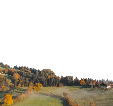 Sanfte Hügel mit herbstlichen Bäumen und vereinzelten Häusern in einer idyllischen Landschaft unter klarem Himmel. Nebelschwaden ziehen durch die Täler.