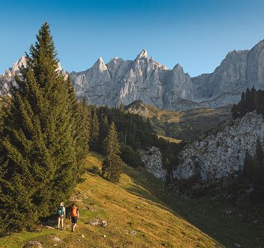 Zwei Wanderer gehen auf einem Pfad in alpiner Landschaft, umgeben von hohen, bewaldeten Bergen unter klarem, blauem Himmel.