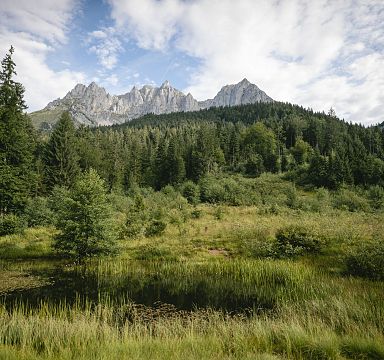 Bergpanorama des Wilden Kaisers, umgeben von dichten Wäldern und grünen Wiesen unter einem bewölkten Himmel in Tirol, Österreich.