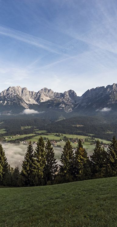 Panoramic view of the Wilder Kaiser mountain range with lush green trees in the foreground and a clear blue sky with contrails overhead.