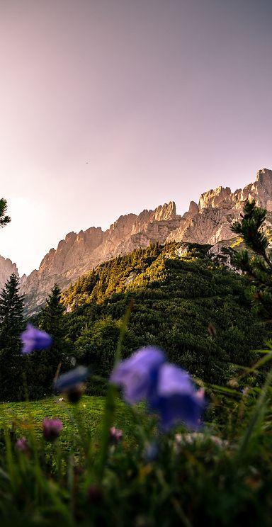 Ein beeindruckendes Bergpanorama mit steilen Felsformationen vor einem klaren Himmel, umgeben von grüner Vegetation und bunten Blumen im Vordergrund.