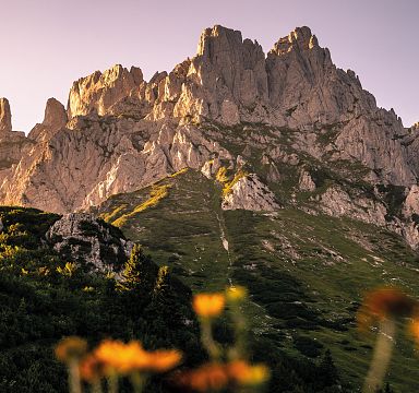 Majestätisches Bergmassiv in warmem Abendlicht mit schroffen Felsen und grün bewachsenen Hängen, im Vordergrund eine unscharfe Blume.
