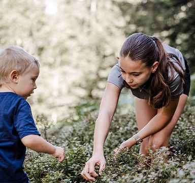 Zwei Kinder pflücken im Wald gemeinsam Beeren, umgeben von grüner Vegetation und Bäumen. Die Szene vermittelt ein Gefühl von Sommer und Naturnähe.