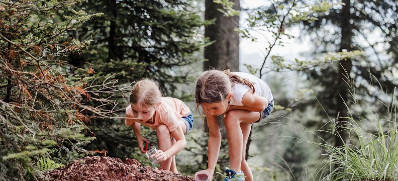 Zwei Kinder spielen neugierig im Wald und untersuchen den Waldboden zwischen Bäumen und Laub. Sie tragen Freizeitkleidung und genießen die Natur.