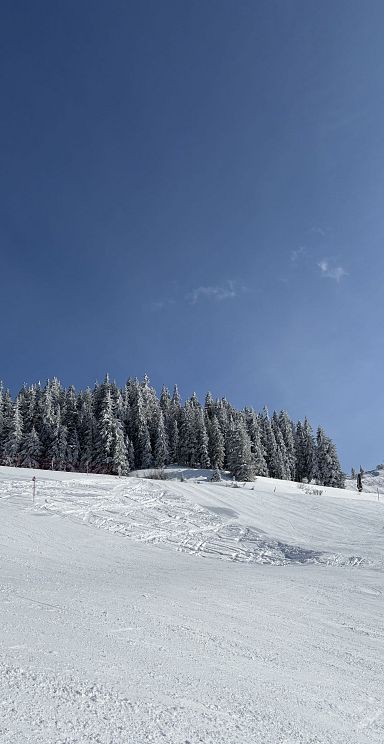 Piste März 2026