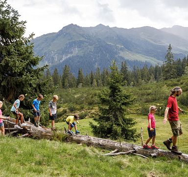 A group of people hike along a fallen tree trunk in a mountain landscape. The background features lush greenery and distant peaks under a cloudy sky.