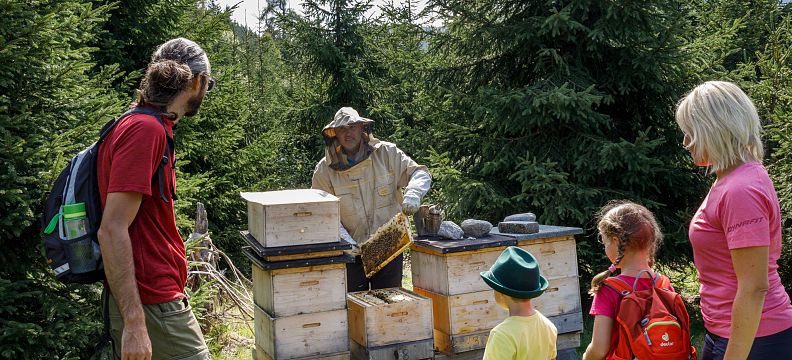 A beekeeper in protective clothing shows honeycombs to a family with two children surrounded by pine trees.