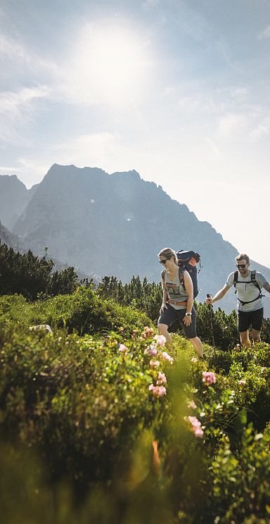 Drei Wanderer in sportlicher Kleidung gehen einen blühenden Bergpfad entlang, mit einem beeindruckenden Bergmassiv im Hintergrund unter einem klaren Himmel.