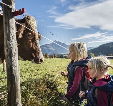 Zwei Kinder betrachten neugierig eine Kuh auf einer Weide mit Bergen im Hintergrund. Sie stehen nah am Zaun, der die Wiese begrenzt, unter einem wolkigen Himmel.