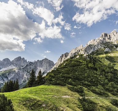 Imposantes Bergmassiv in Tirol mit grünen Wiesen und Bäumen im Vordergrund. Der Himmel ist blau mit einigen weißen Wolken. Ideal für Outdoor-Aktivitäten.