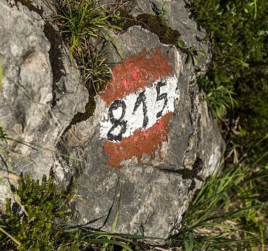 Ein Wanderwegweiser mit der Nummer 815, auf einem Felsen gemalt. Die Markierung ist rot-weiß-rot und umgeben von Gras und Moos.