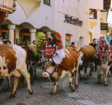 Kühe mit buntem Kopfschmuck bei einem Almabtrieb in einem Alpendorf. Menschen stehen an den Straßenrändern und beobachten die Tradition.