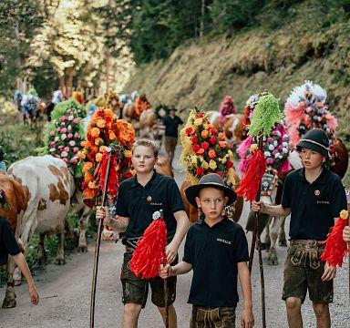 Kinder in traditioneller Tracht führen festlich geschmückte Kühe bei einem Almabtrieb durch einen Waldweg. Die Tiere sind mit bunten Kränzen dekoriert.