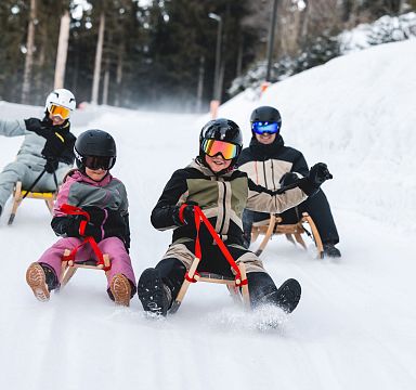 A group of people sledding down a snow-covered hillside, surrounded by trees, in the Wilder Kaiser region of Tirol. They are dressed in winter gear.