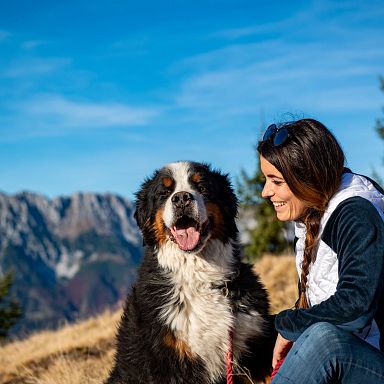 A woman and her Bernese Mountain Dog sit on a grassy hill with the towering peaks of the Wilder Kaiser mountains in the background, capturing a serene outdoor moment.