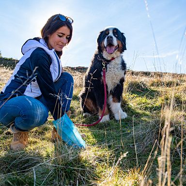 A woman in a grassy field picking up after her large dog on a sunny day, demonstrating responsible pet care.