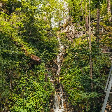 Ein kleiner Wasserfall fließt durch einen üppigen, grünen Wald, umgeben von dichtem Laub und Felsen. Sonnenlicht fällt durch die Bäume.