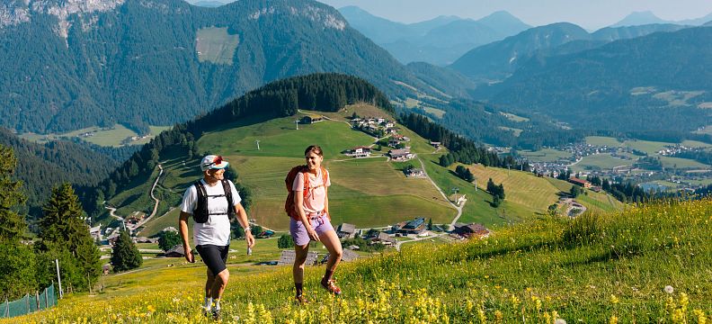 Zwei Wanderer genießen eine sommerliche Berglandschaft mit grünen Wiesen und Bergen im Hintergrund, umgeben von blühenden Blumen. Klarer Himmel im Sommer.