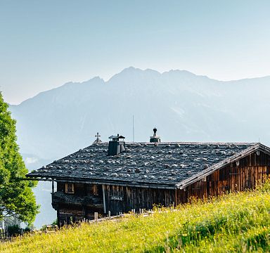 Rustikale Berghütte mit Schindeldach vor einer Bergkette, umgeben von grünen Wiesen und einem Baum unter klarem, blauem Himmel in alpiner Landschaft.