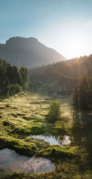 Ein malerisches Tal bei Sonnenaufgang, umgeben von bewaldeten Bergen, im Vordergrund ein kleiner Teich. Weiches Licht taucht die Szene in warme Farben.