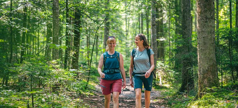 Zwei entspannte Wanderinnen spazieren durch den grünen, frischen Wald