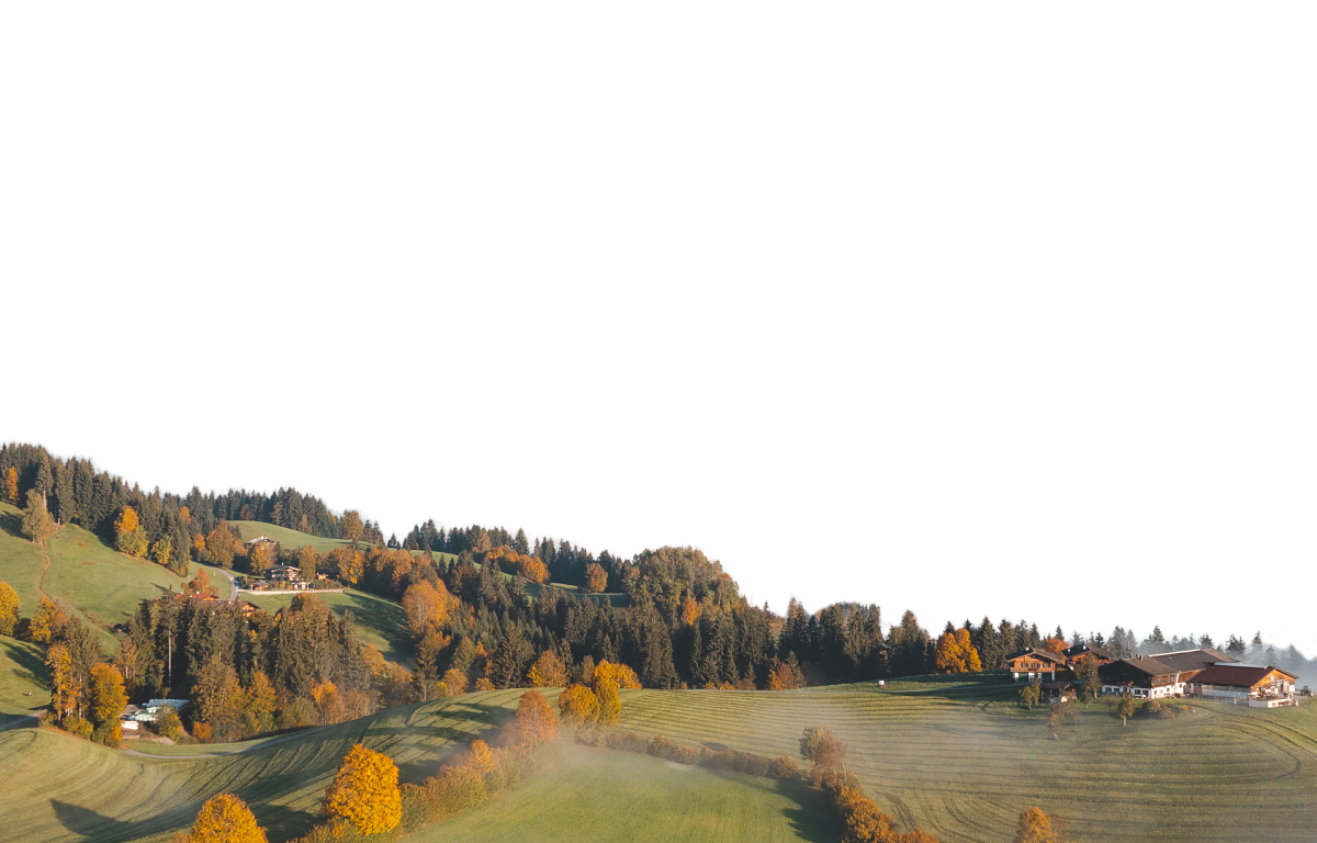 Sanfte Hügel mit herbstlichen Bäumen und vereinzelten Häusern in einer idyllischen Landschaft unter klarem Himmel. Nebelschwaden ziehen durch die Täler.