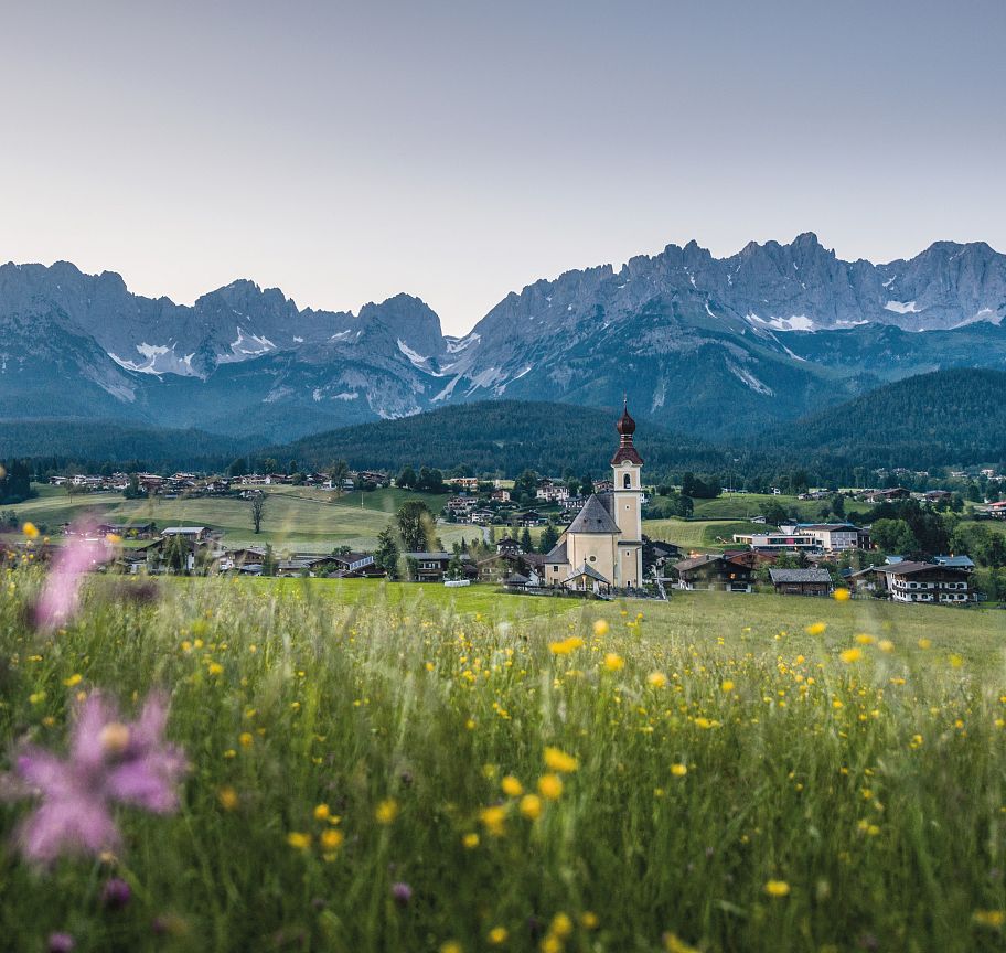 Idyllische Alpenlandschaft mit blühender Wiese im Vordergrund, einer Kirche in der Mitte und dem majestätischen Bergmassiv des Wilden Kaisers im Hintergrund.