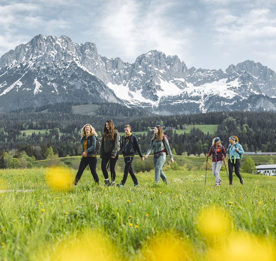 Eine Gruppe von Menschen wandert auf einer Wiese, im Hintergrund das imposante Wilder Kaiser Gebirge mit schneebedeckten Gipfeln und bewölktem Himmel.