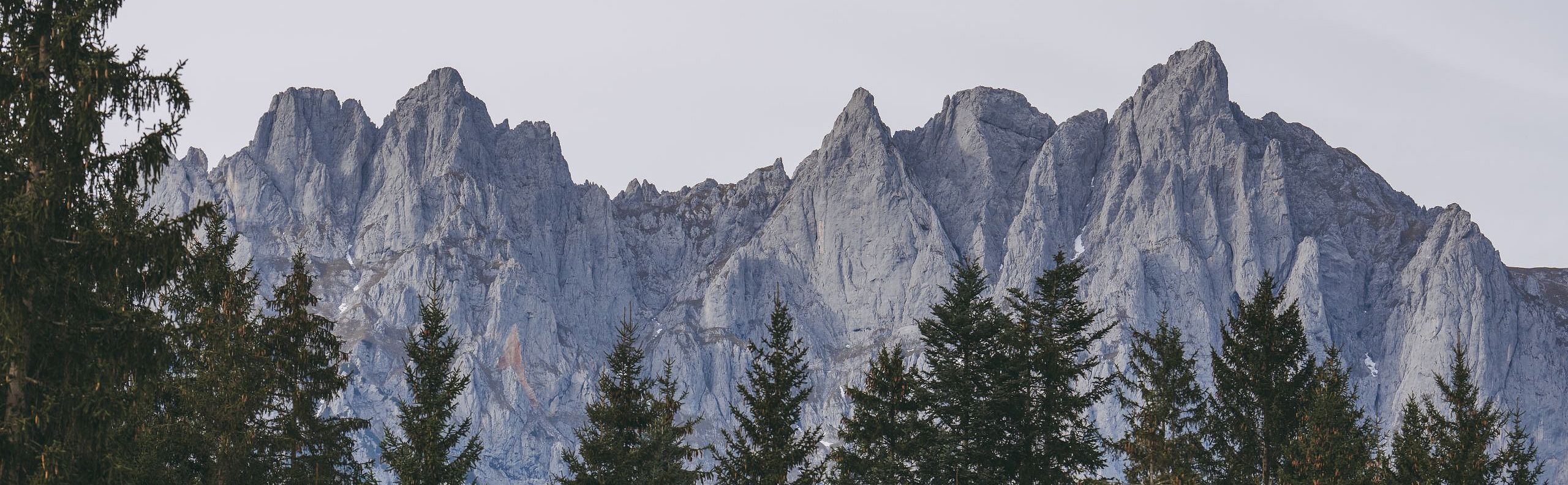 Markante Bergspitzen des Wilden Kaisers in Tirol, Österreich, ragen majestätisch hinter dichten Tannenwäldern in einem wolkenverhangenen Himmel empor.