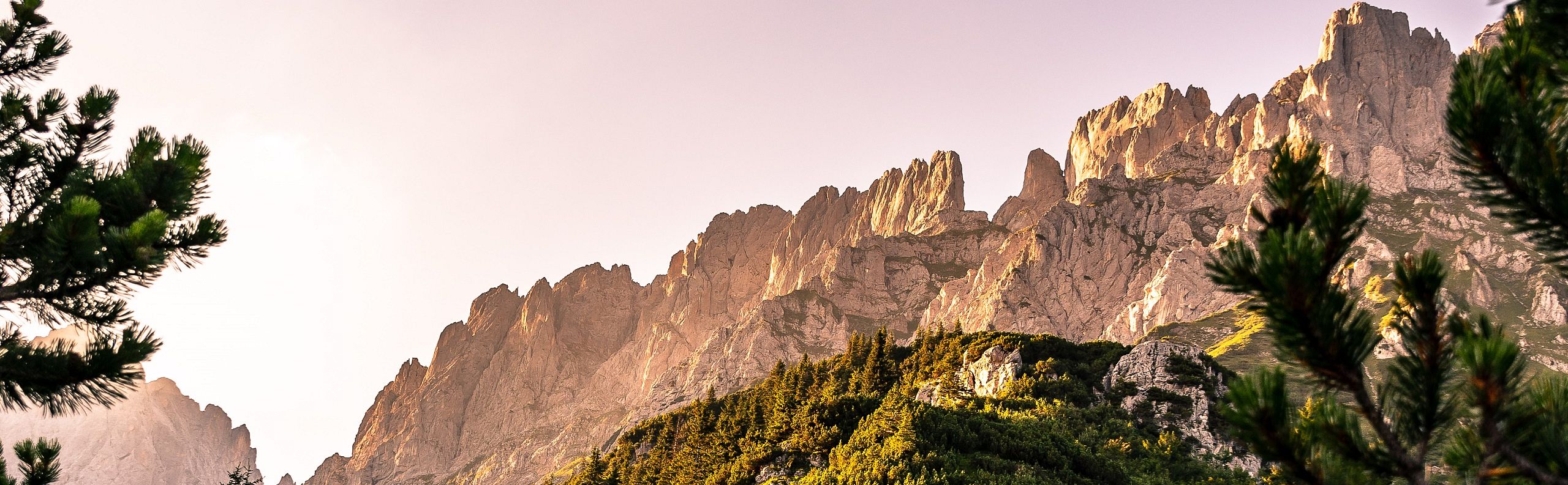 Rugged mountain peaks bathed in sunset light, surrounded by lush green forests and purple wildflowers in the foreground. A serene, natural landscape.