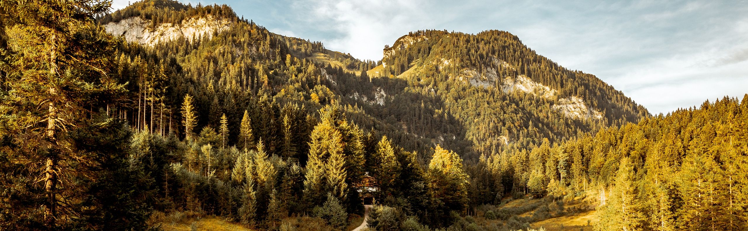 Herbstliche Landschaft mit Wald und Berg im Hintergrund, goldenes Licht auf Wiesen, klare blaue Himmel, Wanderweg schlängelt sich durch das Tal.