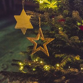 Ein festlich dekorierter Weihnachtsbaum mit gelben und silbernen Sternornamenten und kleinen Lichtern, die in einem warmen Licht leuchten.