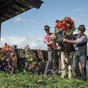 Zwei Männer in traditioneller Tracht schmücken eine Kuh mit Blumen vor einer Holzhütte. Weitere Blumengestecke stehen neben ihnen auf einer grünen Wiese.